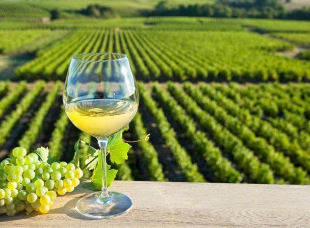 Dependance Chaleureuse Dans Le Vignoble Nantais Vila La Haie-Fouassiere Exterior foto